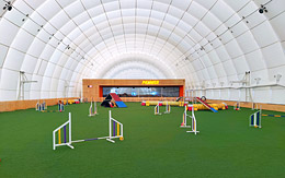 Dog sports arena